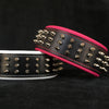 Premium Pet Guardian Gear: "Silver Giant" collar - Sanctum Paws and Fangs