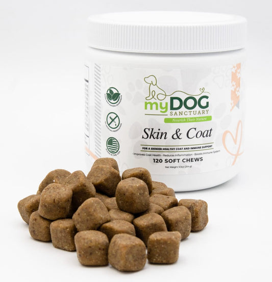 myDOG Sanctuary Skin & Coat supplement with soft chews on a white background