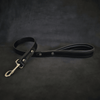 Premium Pet Guardian Gear: The "Style" leash - Sanctum Paws and Fangs