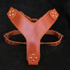 Premium Pet Guardian Gear: The ''Style'' harness Brown - Sanctum Paws and Fangs