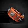 Premium Pet Guardian Gear: The "Eros" collar 2 inch wide brown & orange - Sanctum Paws and Fangs