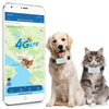 Smart pet collars with a phone displaying a 4G LTE app on a white background