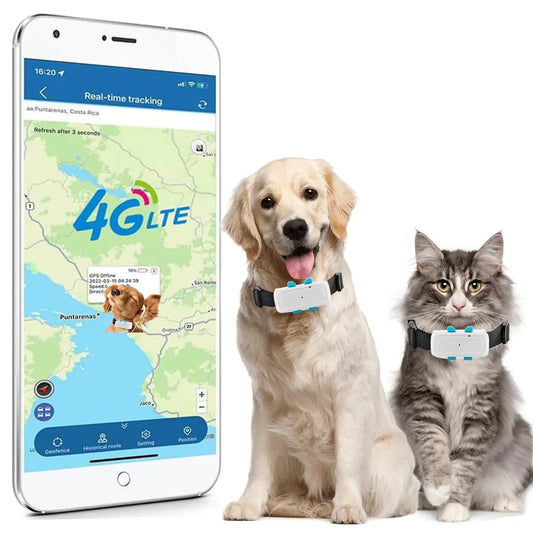 Smart pet collars with a phone displaying a 4G LTE app on a white background