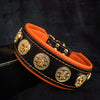 Premium Pet Guardian Gear: The "Bijou" collar orange - Sanctum Paws and Fangs