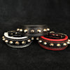 Premium Pet Guardian Gear: The "Rock" collar - Sanctum Paws and Fangs