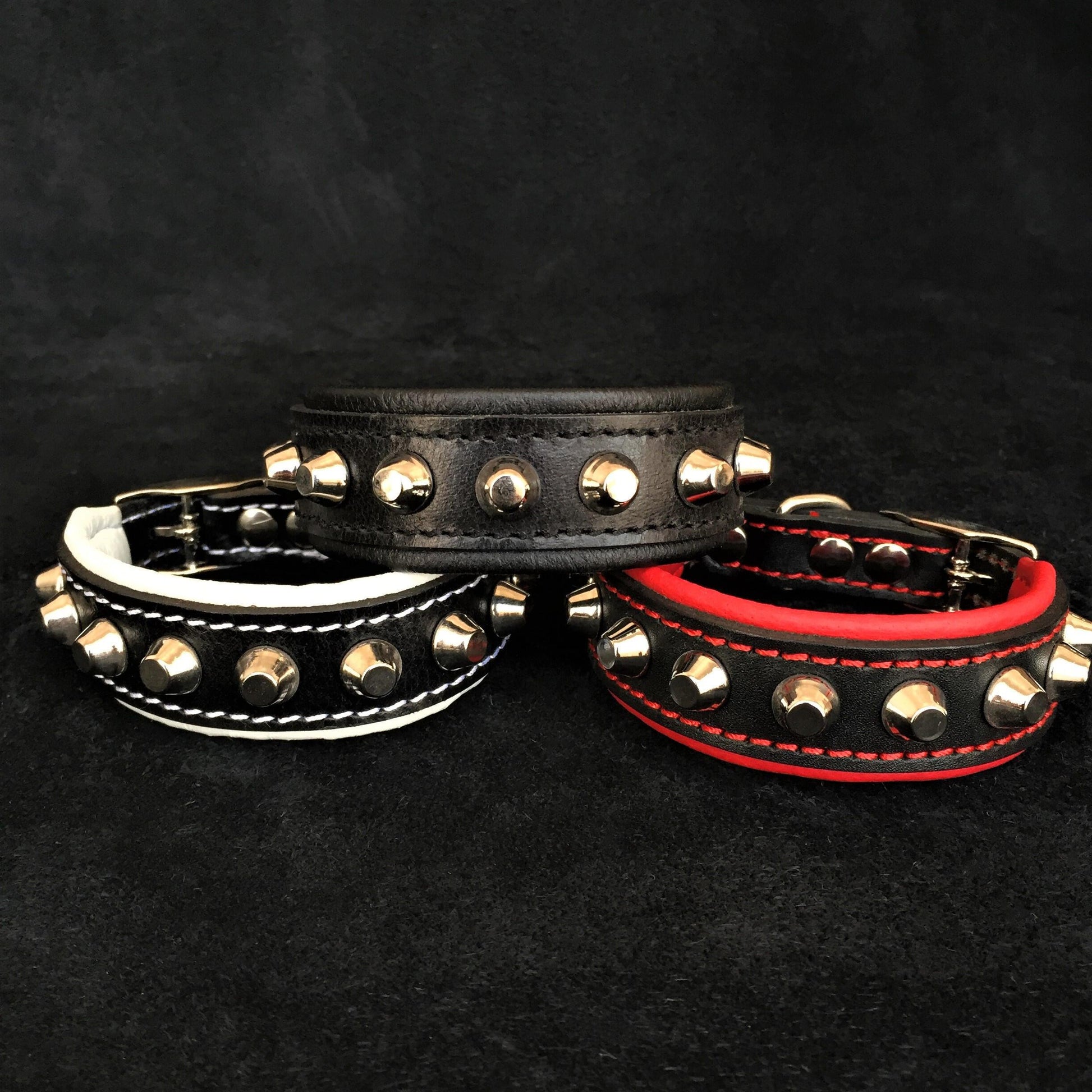 Premium Pet Guardian Gear: The "Rock" collar - Sanctum Paws and Fangs