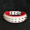 Premium Pet Guardian Gear: White "Frenchie" dog collar - Sanctum Paws and Fangs