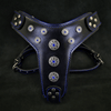 Premium Pet Guardian Gear: 'Bijou'' harness Black & Blue for big dogs - Sanctum Paws and Fangs